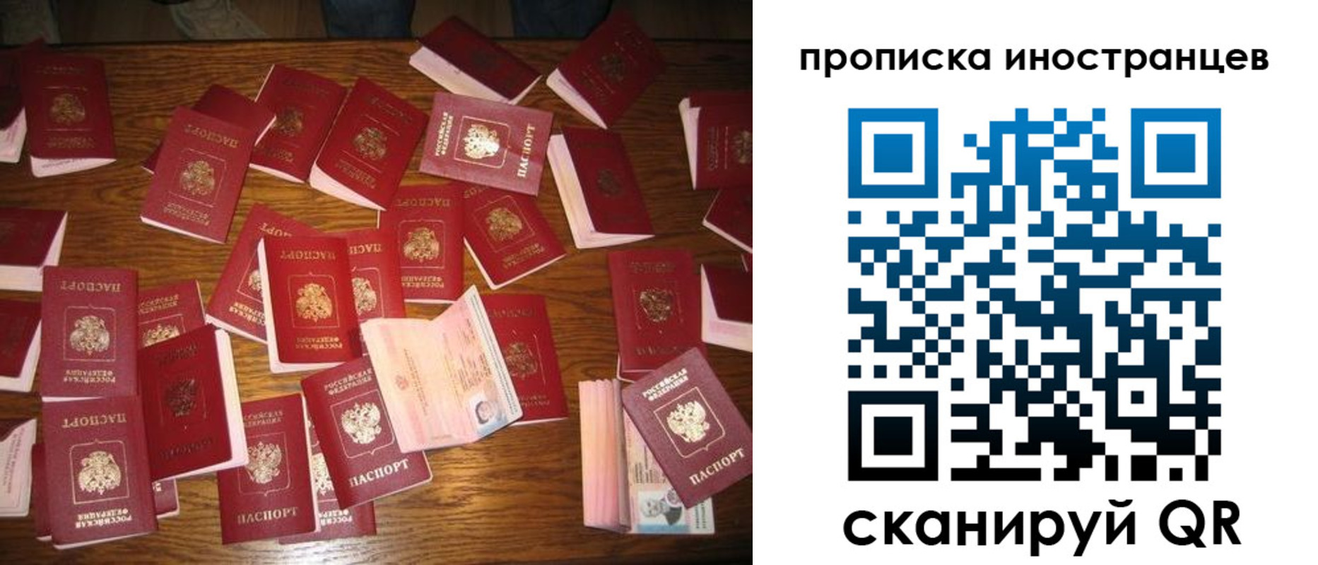 найти адрес прописки в Лосино-Петровском